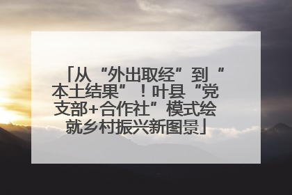 从“外出取经”到“本土结果”！叶县“党支部+合作社”模式绘就乡村振兴新图景
