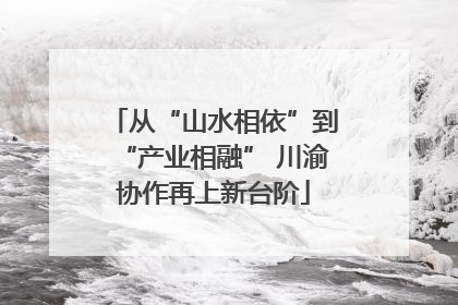 从“山水相依”到“产业相融” 川渝协作再上新台阶