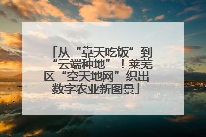 从“靠天吃饭”到“云端种地”！莱芜区“空天地网”织出数字农业新图景