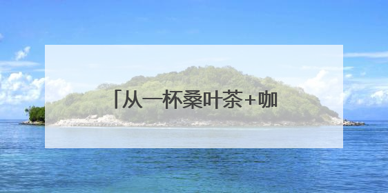 从一杯桑叶茶+咖啡 四川乐至如何端出助企发展的诚意
