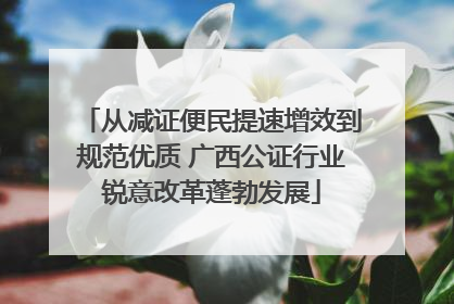 从减证便民提速增效到规范优质 广西公证行业锐意改革蓬勃发展