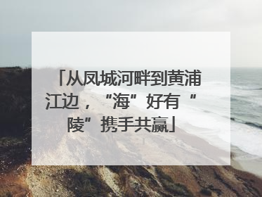 从凤城河畔到黄浦江边，“海”好有“陵”携手共赢