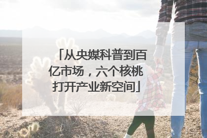 从央媒科普到百亿市场，六个核桃打开产业新空间