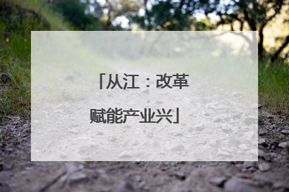 从江：改革赋能产业兴