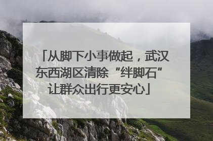 从脚下小事做起，武汉东西湖区清除“绊脚石”让群众出行更安心