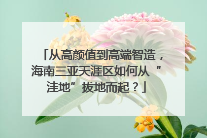 从高颜值到高端智造，海南三亚天涯区如何从“洼地”拔地而起？
