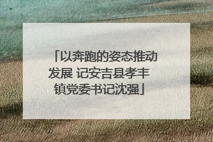 以奔跑的姿态推动发展 记安吉县孝丰镇党委书记沈强