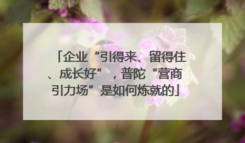 企业“引得来、留得住、成长好”，普陀“营商引力场”是如何炼就的
