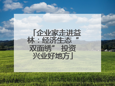 企业家走进益林：经济生态“双面绣” 投资兴业好地方