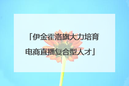 伊金霍洛旗大力培育电商直播复合型人才