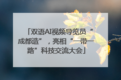 双语AI视频导览员“成都造”，亮相“一带一路”科技交流大会