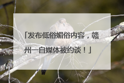 发布低俗媚俗内容，赣州一自媒体被约谈！