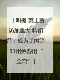 叫板 英王首访加拿大 特朗普：成为美国第51州免费用“金穹”