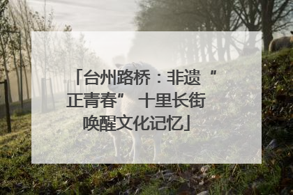 台州路桥：非遗“正青春” 十里长街唤醒文化记忆