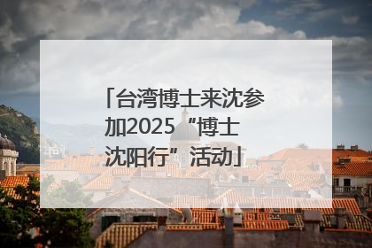 台湾博士来沈参加2025“博士沈阳行”活动