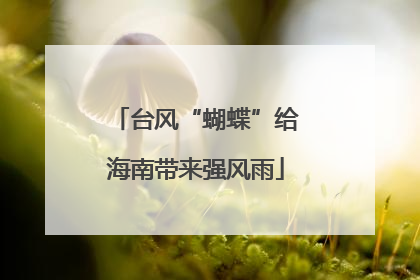 台风“蝴蝶”给海南带来强风雨