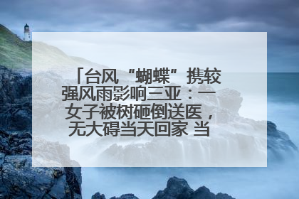 台风“蝴蝶”携较强风雨影响三亚：一女子被树砸倒送医，无大碍当天回家 当地已紧急清障