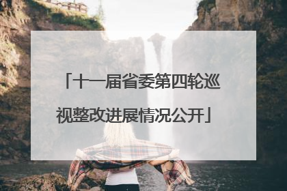 十一届省委第四轮巡视整改进展情况公开