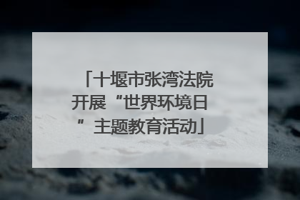 十堰市张湾法院开展“世界环境日”主题教育活动