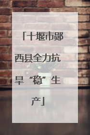 十堰市郧西县全力抗旱“稳”生产