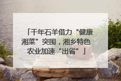 千年石羊借力“健康湘菜”突围，湘乡特色农业加速“出省”