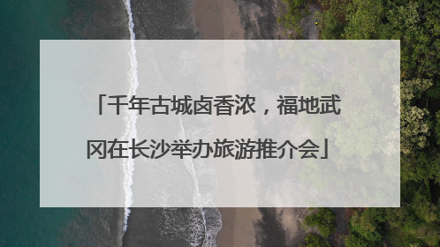 千年古城卤香浓，福地武冈在长沙举办旅游推介会