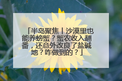 半岛聚焦丨沙漠里也能养螃蟹？蟹农收入翻番，还意外改良了盐碱地？咋做到的？