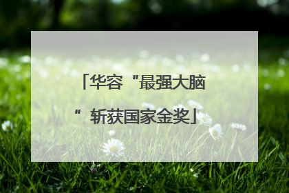 华容“最强大脑”斩获国家金奖