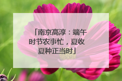 南京高淳：端午时节农事忙，夏收夏种正当时