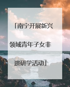 南宁开展新兴领域青年子女非遗研学活动