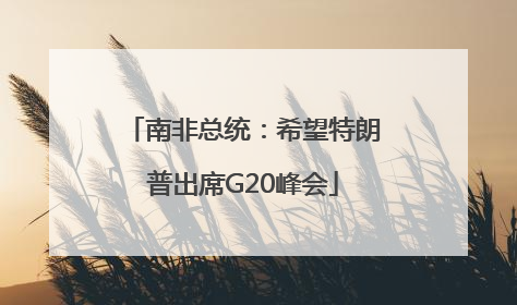 南非总统：希望特朗普出席G20峰会