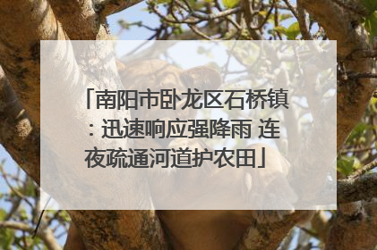 南阳市卧龙区石桥镇：迅速响应强降雨 连夜疏通河道护农田