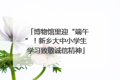 博物馆里迎“端午”！新乡大中小学生学习致敬诚信精神