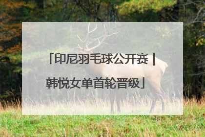 印尼羽毛球公开赛｜韩悦女单首轮晋级