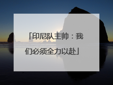 印尼队主帅：我们必须全力以赴