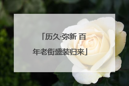 历久·弥新 百年老街盛装归来