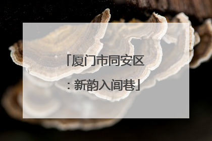 厦门市同安区：新韵入闾巷
