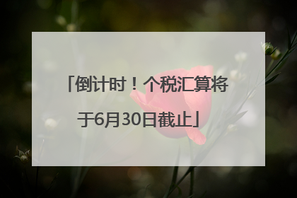 倒计时！个税汇算将于6月30日截止
