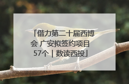 借力第二十届西博会 广安拟签约项目57个｜数读西投