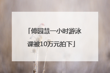 傅园慧一小时游泳课被10万元拍下