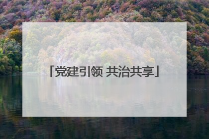 党建引领 共治共享