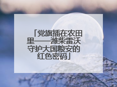 党旗插在农田里——潍柴雷沃守护大国粮安的红色密码