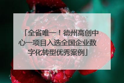 全省唯一！德州高创中心一项目入选全国企业数字化转型优秀案例