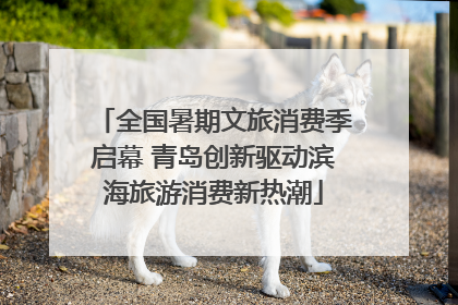 全国暑期文旅消费季启幕 青岛创新驱动滨海旅游消费新热潮