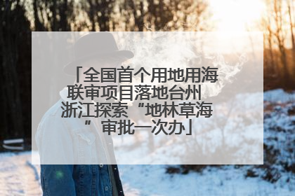全国首个用地用海联审项目落地台州 浙江探索“地林草海”审批一次办