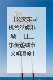 公交车司机善举暖港城 一日三事传递城市文明温度