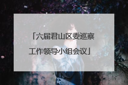 六届君山区委巡察工作领导小组会议