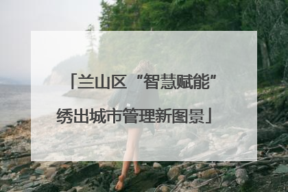 兰山区“智慧赋能”绣出城市管理新图景