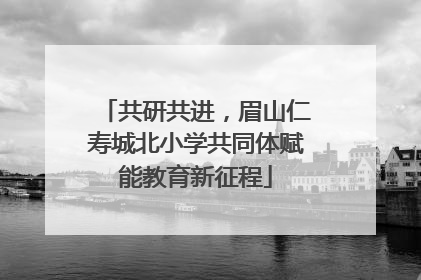 共研共进，眉山仁寿城北小学共同体赋能教育新征程