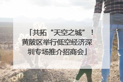 共拓“天空之城”！黄陂区举行低空经济深圳专场推介招商会